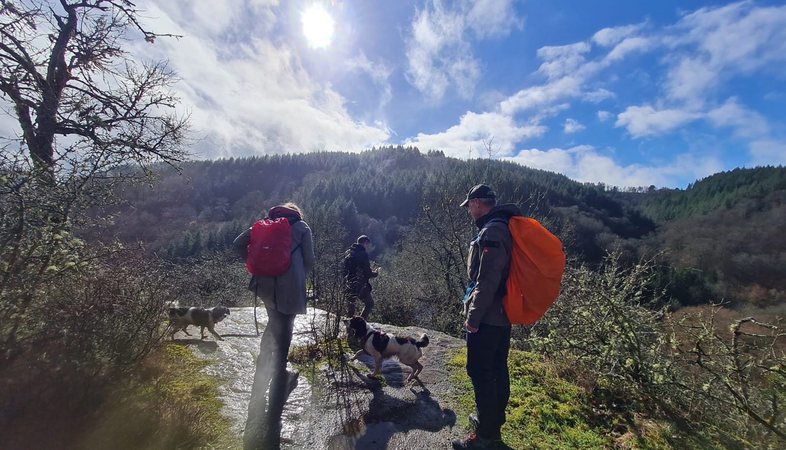 wandelweekend Eifel27