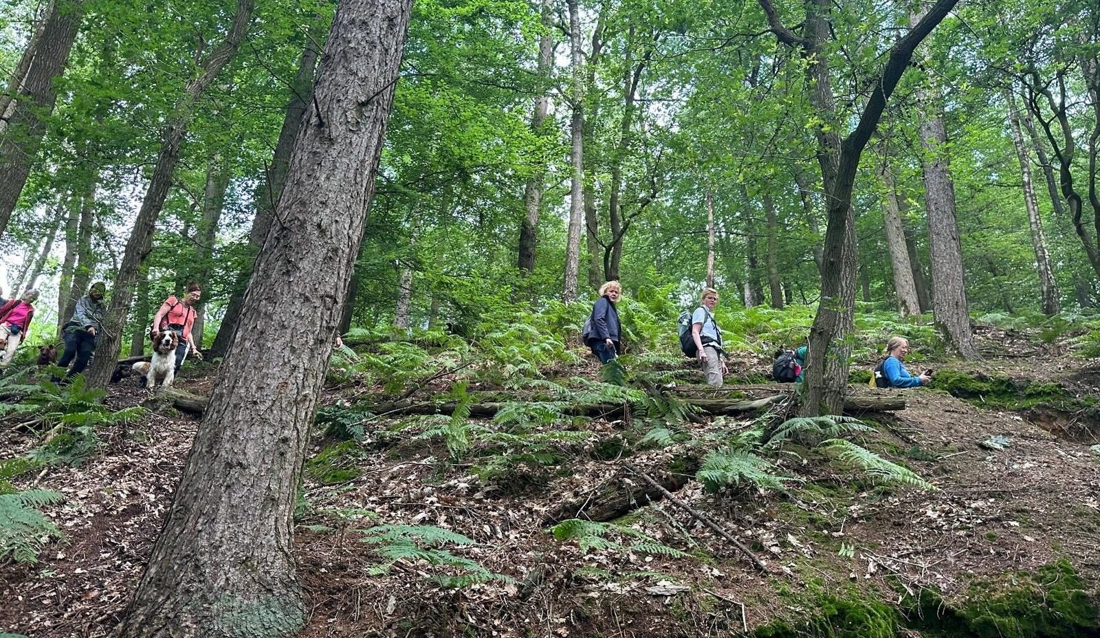 KWF wandeling