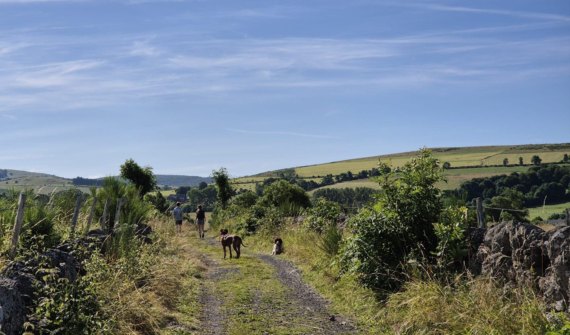 Hike Aubrac