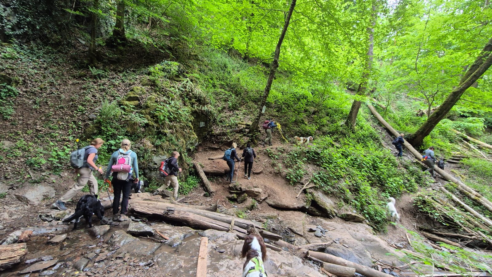 Wandelvakantie Eifel