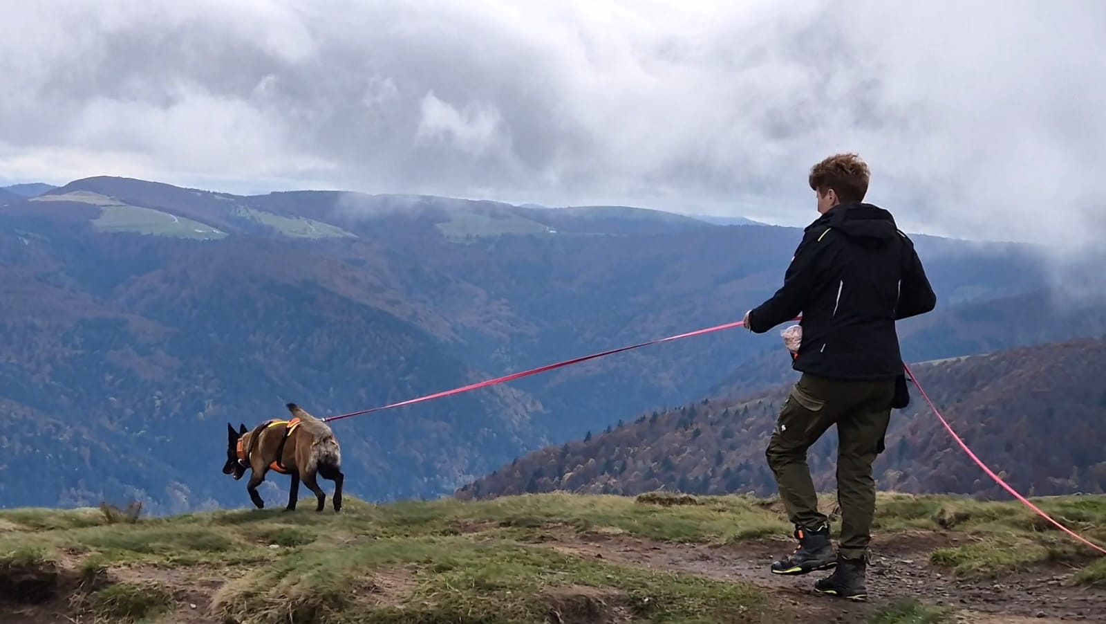 mantrailvakantie vogezen