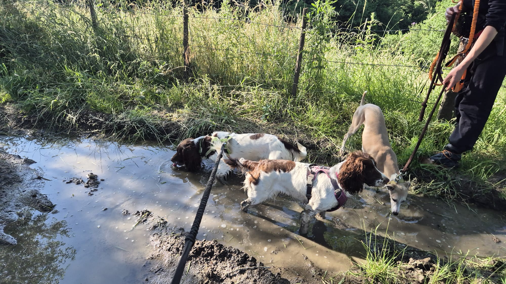 Afkoelen tijdens wandelen
