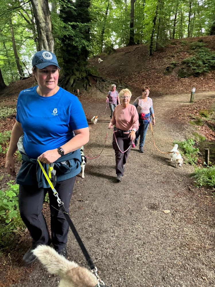 Wandeltraining Nederland