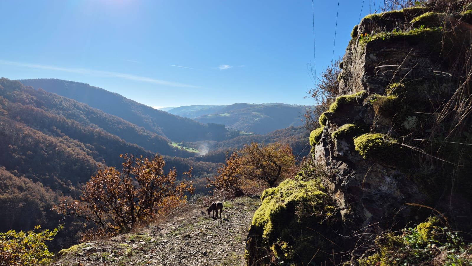 Aveyron solo herfsteditie