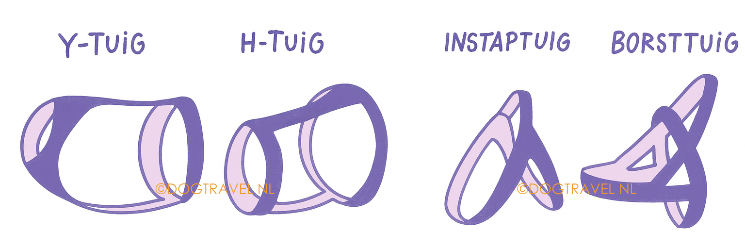 4tuigen
