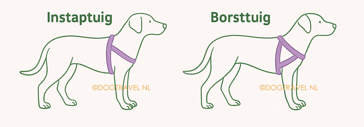 tuigen1 kopiëren