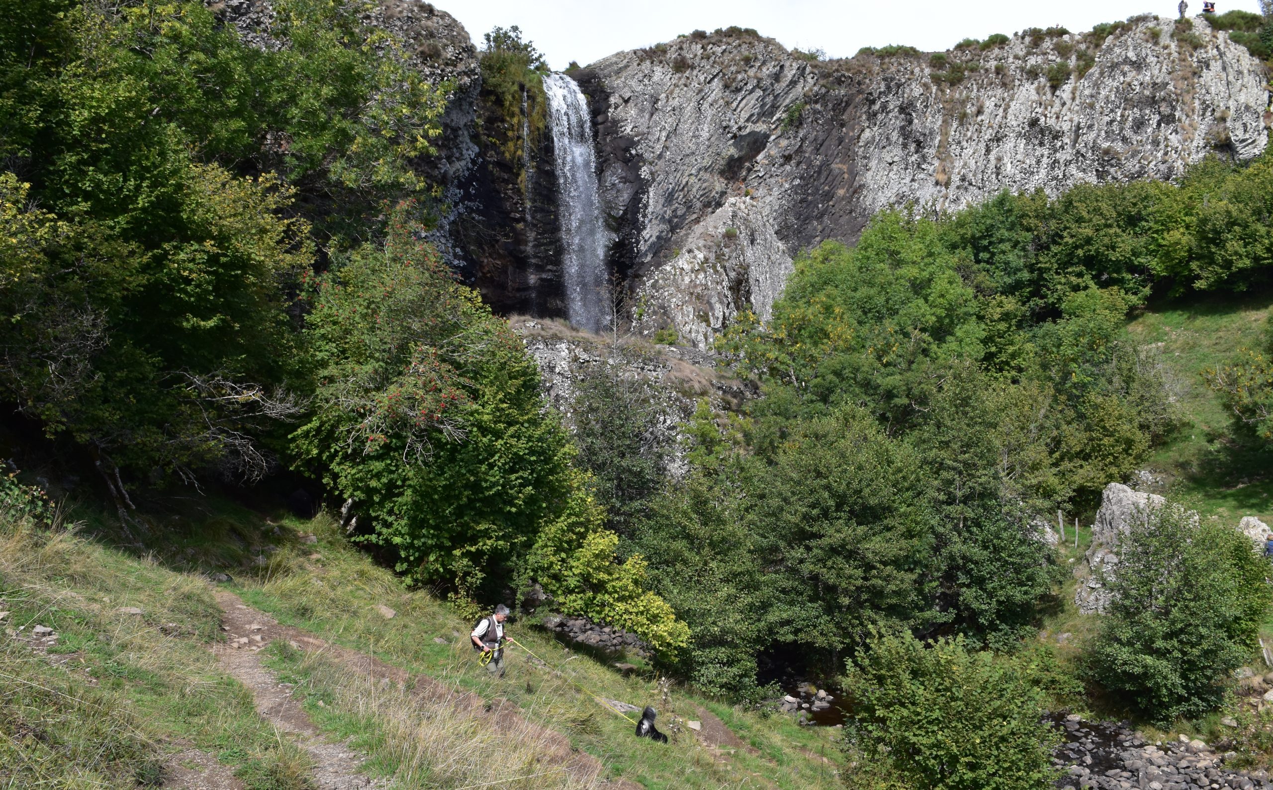 Aubrac vakantie met hond